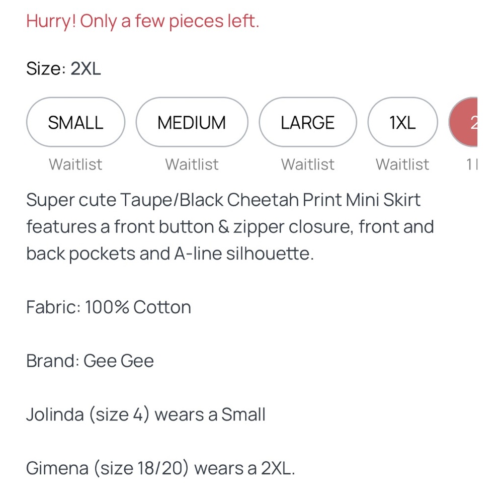 Gee Gee Cheetah Print Mini Skirt